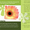 DMD Brochure