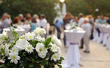 garden party